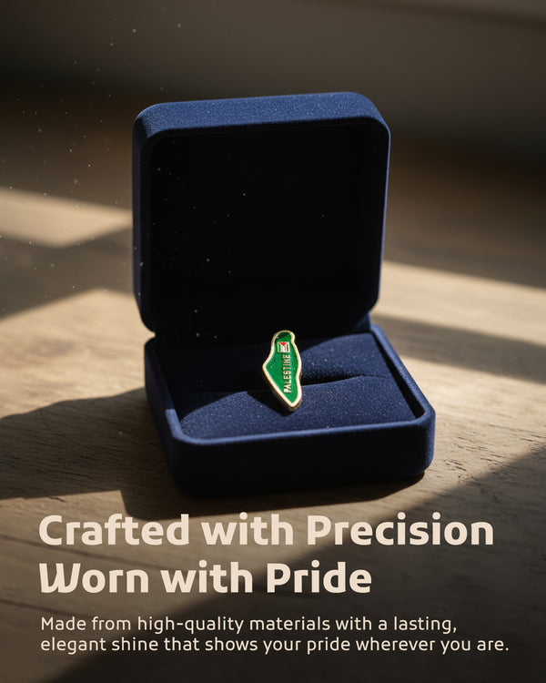 Palestine Flag In Map Palestine Green Color Lapel Pin A300046