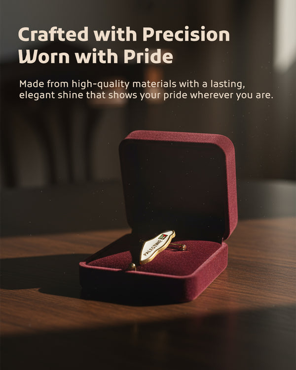 Palestine Flag In Map Palestine White Color Lapel Pin A300049