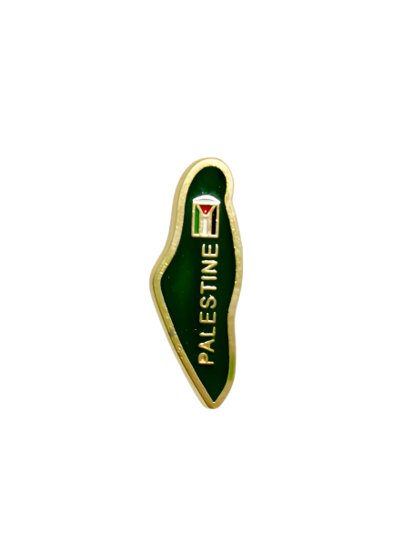 An elegant pin (brooch) shaped like the map of Palestine, designed in a rich green color symbolizing the fertility of the land, and encircled by a stylish golden frame that clearly highlights the map's outline. The Palestinian flag, with its vibrant colors, is centered on the pin, and the word "PALESTINE" is clearly displayed in golden font on the side, making it a distinctive piece that expresses Palestinian identity and heritage.