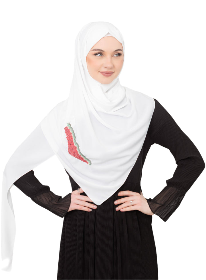 An elegant light grey Shawl&nbsp;, made from high-quality polyester and measuring 70 x 180 cm. It features unique and beautiful embroidery of the map of Palestine, in colors inspired by the watermelon (red, green, black, and white), which has become a symbol of resistance and connection to Palestinian identity. This Shawl adds a distinctive touch of elegance and deep meaning to your look.