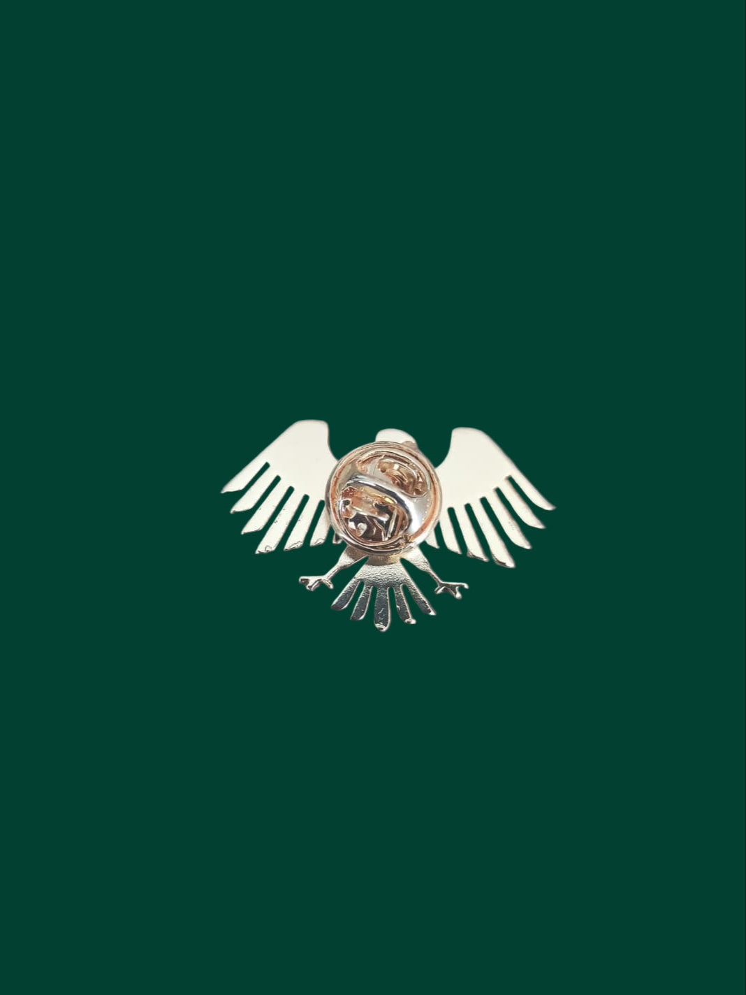Metallic badge with wings on a wooden surface
