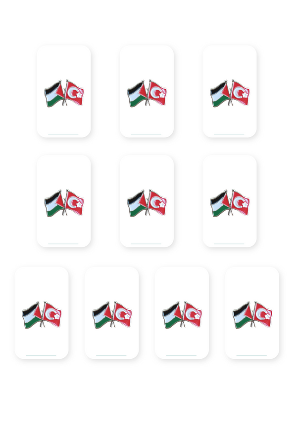 10 Pcs Türkiye And Palestine Flag Symbol Gold Colored Special Design Unisex Lapel Pin A300030-10