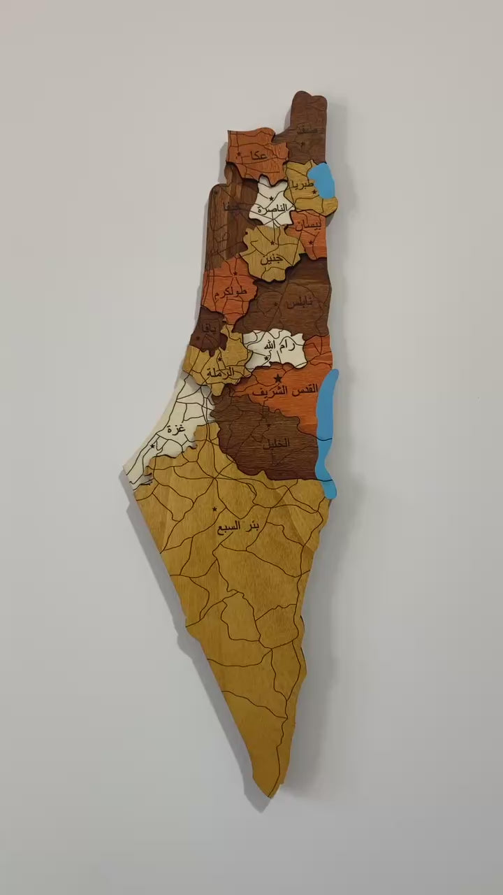 Decorative wall art of a stylized map on a white wall with a plant in the foreground.