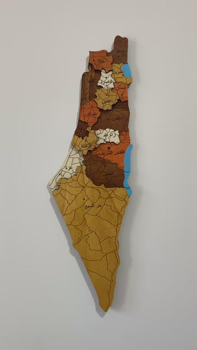 Decorative wall art of a stylized map on a white wall with a plant in the foreground.