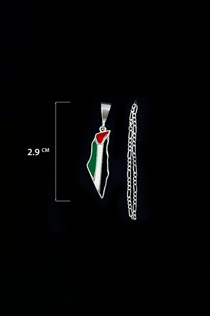 Zaytoon Gift Silver Necklace Dainty Palestine Colored Map Necklace 925 Silver Small size