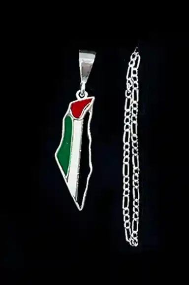 Zaytoon Gift Silver Necklace Dainty Palestine Colored Map Necklace 925 Silver Small size